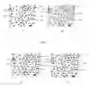 Fig. 08 - High aspect ratio X-ray targets and uses of same