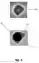 Fig. 06 - Low roughness EUV lithography