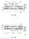 Fig. 09 - Package structure and manufacturing method thereof