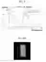 Fig. 05 - Organic light emitting device and organic light emitting display device using the same