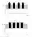 Fig. 04 - Nanowire-based vertical memory cell array having a metal layer interposed between a common back plate and the nanowires