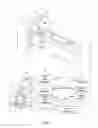Fig. 02 - Radiation detector having pixelated anode strip-electrodes