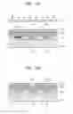 Fig. 08 - Organic light-emitting display apparatus and method of manufacturing the same