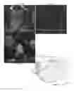 Fig. 16 - HYBRID COMPOSITE NANOMATERIAL AND METHOD OF PREPARING THE SAME