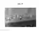 Fig. 13 - Display device