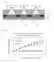 Fig. 05 - Low reflective display device
