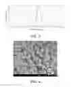 Fig. 03 - High-voltage positive electrode material for lithium battery and preparation method thereof