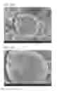 Fig. 13 - Negative electrode for power storage device and power storage device