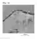 Fig. 19 - Negative electrode for power storage device and power storage device