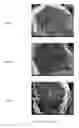 Fig. 14 - Cobalt-based lithium metal oxide cathode material