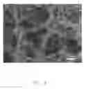 Fig. 05 - Methods of manufacturing graphene based material