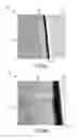 Fig. 03 - Magnesium metal devices and methods of making the same