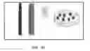 Fig. 03 - Electroactive cultures and apparatuses therefor
