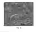 Fig. 06 - Annealed garnet electrolyte separators