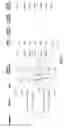 Fig. 04 - WIDEBAND ANTENNA ARRAY ON LAMINATED PRINTED CIRCUIT BOARD