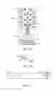 Fig. 02 - High speed plug