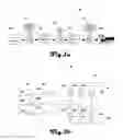 Fig. 02 - PHOTO-ELECTRIC SWITCH SYSTEM AND METHOD
