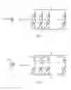 Fig. 06 - Amplifier