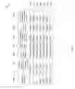 Fig. 06 - Dynamic session rate limiter