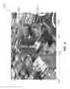 Fig. 09 - Obtaining camera device image data representing an event