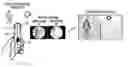 Fig. 01 - Control system, imaging device, and computer-readable medium