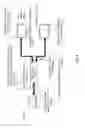 Fig. 07 - Branch device bandwidth management for video streams