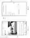 Fig. 05 - Live Video Lobbies