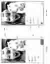 Fig. 10 - Live Video Lobbies