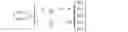 Fig. 02 - Method and signal processing unit for mapping a plurality of input channels of an input channel configuration to output channels of an output channel configuration