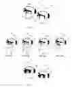 Fig. 05 - Arrangements and methods for 3D audio generation