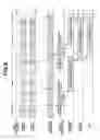 Fig. 07 - Radio network system