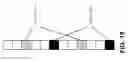Fig. 16 - Short physical uplink control channel (PUCCH) design for 5th generation (5G) new radio (NR)
