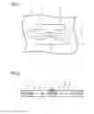Fig. 02 - Flexible printed circuit board