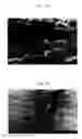 Fig. 09 - Wearable flexible printed circuit board and method of manufacturing the same