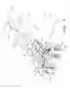 Fig. 02 - TOWED IMPLEMENT WITH AUTO CENTER STEERING
