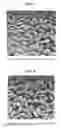 Fig. 03 - STEELMAKING SLAG-COATED SEED AND METHOD FOR PRODUCING SAME