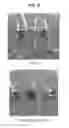 Fig. 07 - STEELMAKING SLAG-COATED SEED AND METHOD FOR PRODUCING SAME