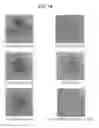 Fig. 13 - STEELMAKING SLAG-COATED SEED AND METHOD FOR PRODUCING SAME