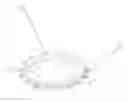 Fig. 01 - Plant branch spacer