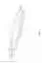 Fig. 03 - Plant branch spacer