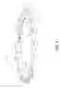 Fig. 04 - Plant branch spacer