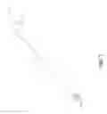 Fig. 08 - Plant branch spacer