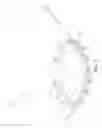 Fig. 09 - Plant branch spacer