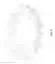 Fig. 10 - Plant branch spacer