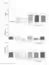 Fig. 07 - Ice-free preservation of large volume tissue samples for viable, functional tissue banking