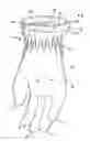 Fig. 01 - Glove construction