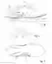 Fig. 02 - Shoe having an air pump device with a spring element clasping a bellows