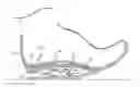 Fig. 01 - Energy return orthotic systems