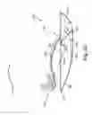 Fig. 22 - Energy return orthotic systems