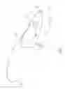 Fig. 02 - Shoe tree